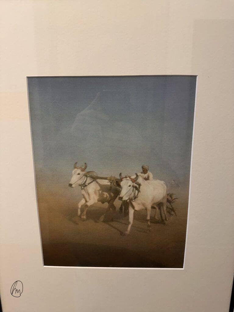 Ylla, az állatfotózás úttörője, aki a természet szabadságát fényképezte.
