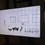 Magyar animáció 111 éve – Egy különleges kiállítás a Műcsarnokban. Vízió, gesztus, kísérlet.