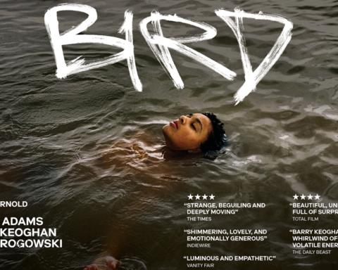 Bird Andrea Arnold film