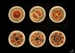 Már élsz – You Are Already Alive