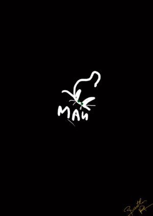 Lapos Macska – Flat Cat Portrait