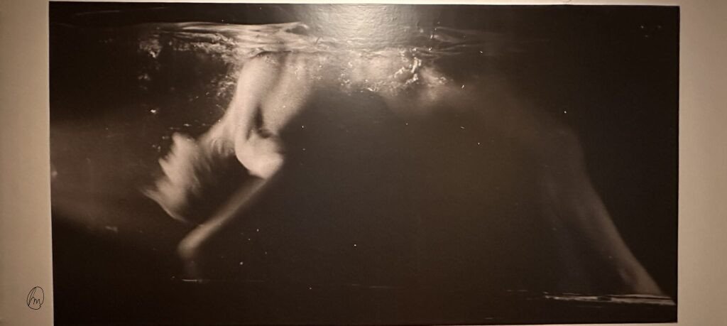 Rogi Andrè egy élet, két sors