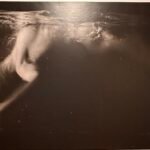 Rogi Andrè egy élet, két sors