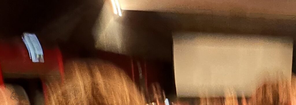 Árva  Nemes László magyar filmdrámaja